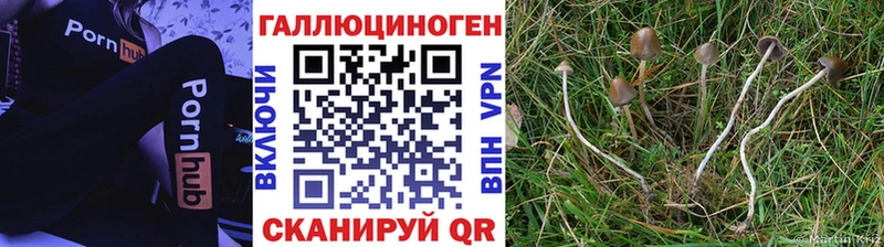 маркетплейс официальный сайт  Подпорожье  Галлюциногенные грибы мицелий 